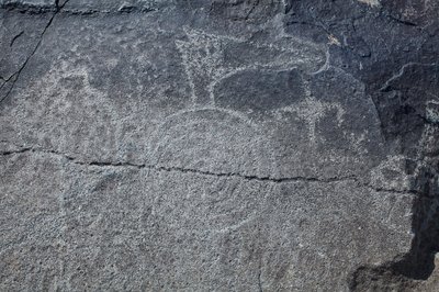 Indiase Petroglyfen - Dier- en symbolische representatie - Petroglyph National Monument - Albuquerque, New Mexico, VS door William M. Timlin