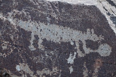 Indiase Petroglyfen die dieren voorstellen - Petroglyph National Monument - Albuquerque, New Mexico, VS door William M. Timlin