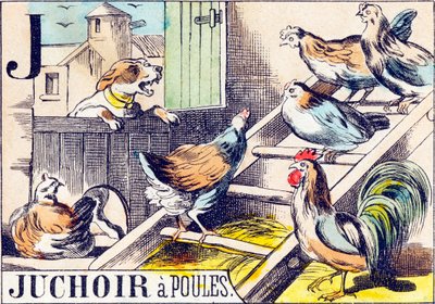 J Juchoir a poules - "Alfabet van de boerderij" eind 19e eeuw door Unbekannt