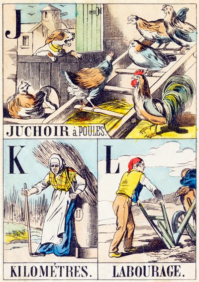 J K L : Kippenhok, Kilometers, Ploegen - "Alfabet van de boerderij" eind 19e eeuw (gravure) door Unbekannt
