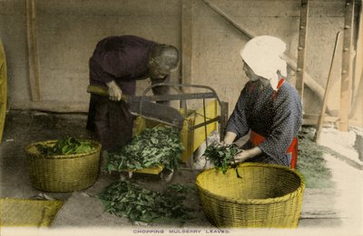 Japanse arbeiders hakken moerbeibladeren door Unbekannter Künstler