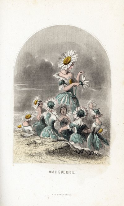 De madeliefjesfeeën met bloemenhoeden - Les fleurs animées door Unbekannter Künstler