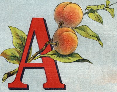 Letter A: abrikoos door Unbekannt