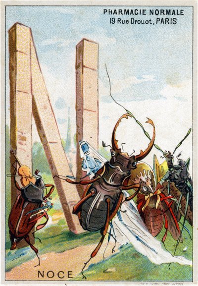 Letter N zoals een bruiloft. Artistiek alfabet van Mr. Marinier. Uitgegeven door Henry Sicard, eind 19e eeuw. Reclamechromolithografieën voor producten verkocht in apotheken. door Unbekannt