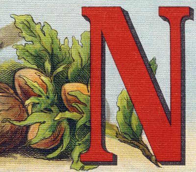 Letter N: hazelnoten door Unbekannt