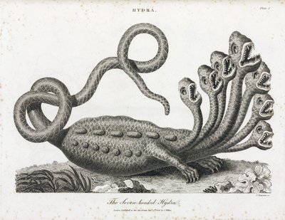 De zevenkoppige hydra door Unbekannt