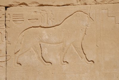 Leeuwenbeeldhouwwerk, Karnak, Luxor, Egypte door Unbekannt