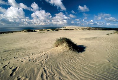 Zandduinen genaamd Pruisische Sahara, Nida, Koerse Schoorwal, Litouwen door William M. Timlin