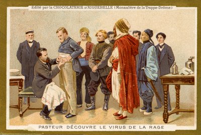 Louis Pasteur ontdekt het rabiesvirus door Unbekannter Künstler