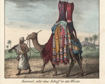 Man uit Noord-Afrika, geweer van een musket, die een kameellading dekens bestuurt. Lithografie voor het boek: “Galerie complete en tableaux fideles des peuples d