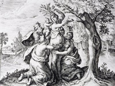 Mattei in Ovidius