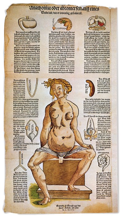 Geneeskunde: anatomisch bord dat de vrouwelijke anatomie beschrijft uit een Renaissance medisch traktaat. Rond de figuur van een zittende vrouw zijn vitale organen zoals de lever, longen en middenrif, maag en voortplantingsapparaat geïllustreerd. Kleurengr door Unbekannter Künstler