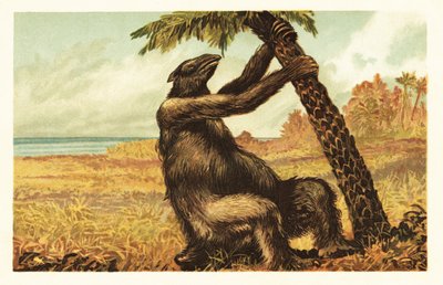 Megatherium americanum trekt aan een palmboom door Unbekannter Künstler