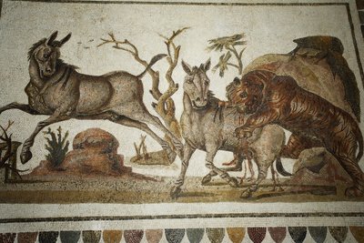 Mozaïek van dierengevecht: tijger die twee nachtdieren aanvalt. II n.Chr./Musée d