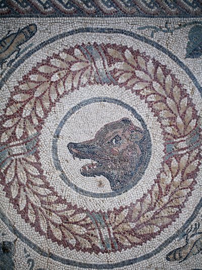 Mozaïek van het peristilium. Detail van een berenkop. 3e - 4e eeuw. Romeinse Villa van de Casale, Sicilië. UNESCO-site. door William M. Timlin