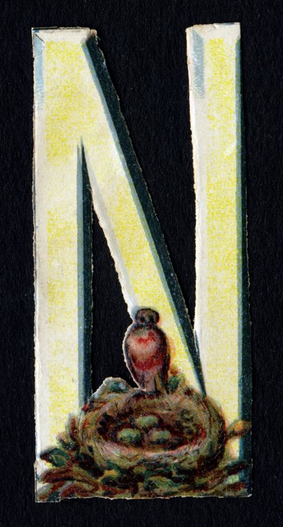 N als Nest. Kever decoupis over het thema dieren. Gravure. Serie van 26 wafelchromolithografieën van Engelse oorsprong. Eind 19e eeuw. door Unbekannt