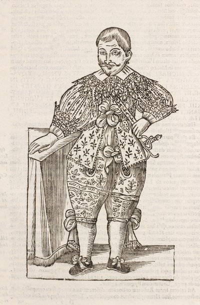 Dwerg van de Zeer Illustere D door Unbekannt