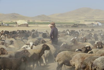 Nomadententen tussen Tamar en Ashkhaneh, Iran 2022 door Unbekannter Künstler