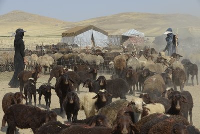 Nomadententen tussen Tamar en Ashkhaneh, Iran 2022 door Unbekannter Künstler