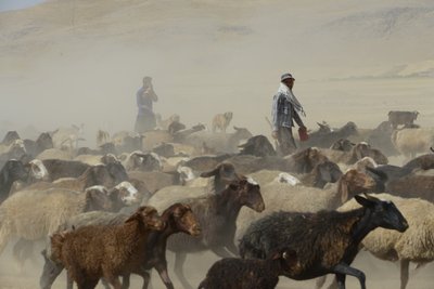 Nomadententen tussen Tamar en Ashkhaneh, Iran 2022 door Unbekannter Künstler