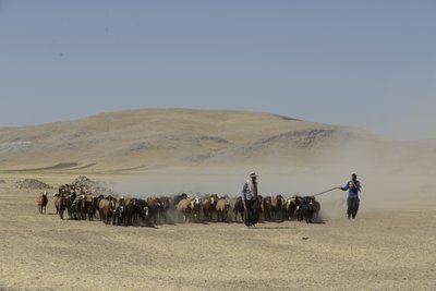 Nomadententen tussen Tamar en Ashkhaneh, Iran 2022 door Unbekannter Künstler