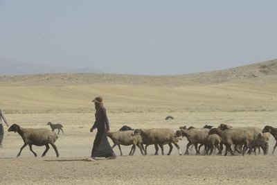 Nomadententen tussen Tamar en Ashkhaneh, Iran 2022 door Unbekannter Künstler