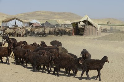 Nomadententen tussen Tamar en Ashkhaneh, Iran 2022 door Unbekannter Künstler