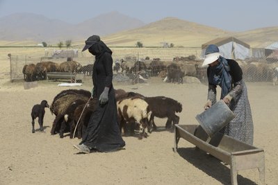 Nomadententen tussen Tamar en Ashkhaneh, Iran 2022 door Unbekannter Künstler