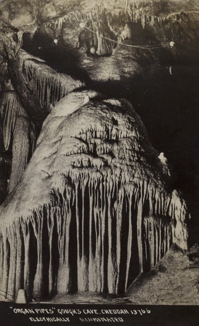 Orgelpijpen, Gough