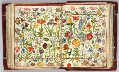 Pagina