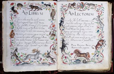 Pagina