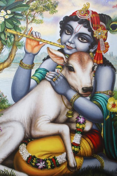 Schilderij dat de hindoegod Krishna afbeeldt die een fluit speelt en een kalf streelt. India door Unbekannt