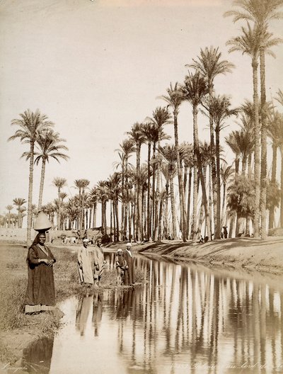 Palmbomen langs de rivier de Nijl. Op de voorgrond mannen in traditionele kleding door Unbekannter Künstler