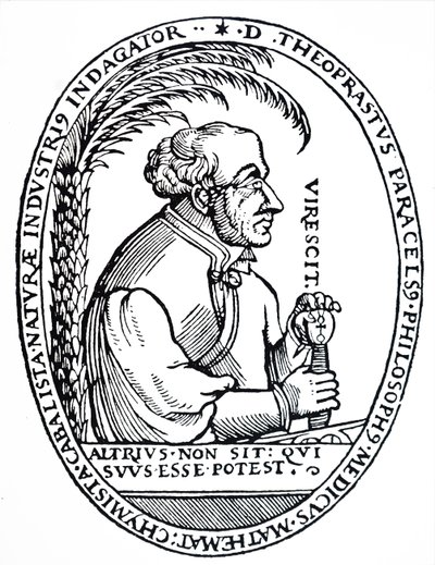 Paracelsus door Unbekannt