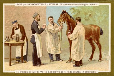 Pierre Paul Émile Roux door Unbekannter Künstler