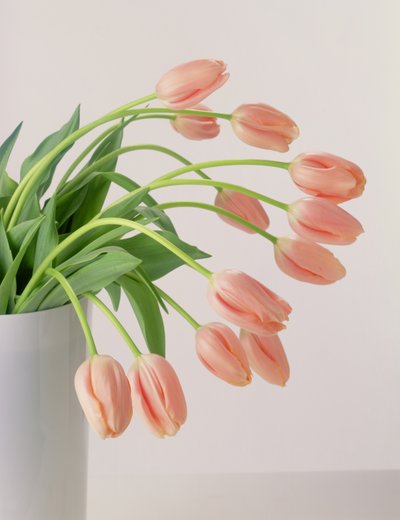 Roze Tulpen door Unbekannter Künstler