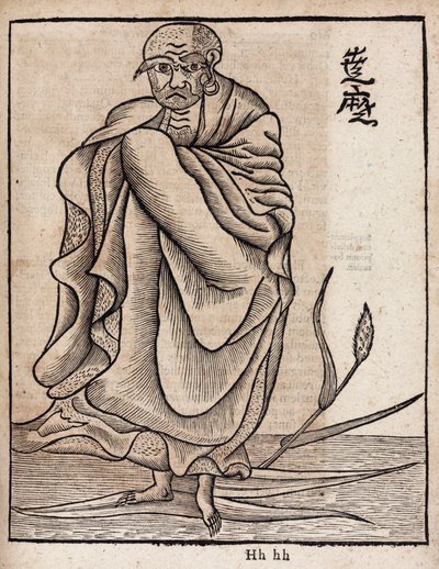 Portret van Bodhidharma door Unbekannt