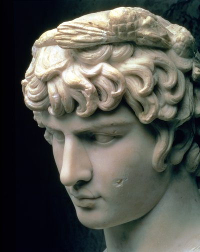 Portretkop van Antinous met de krans van Dionysus, deel van een standbeeld uit de villa van keizer Hadrianus in Tivoli, Romeins, 2e eeuw door Unbekannt