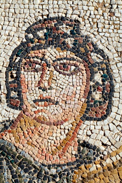 Portret van Ambrosia - Symbool van het voedsel van de goden en onsterfelijkheid - Detail van het paneel dat het eerste bad van Achilles voorstelt - Paphos Mozaïeken, Villa van Theseus, 5e eeuw na Christus - Cyprus door Unbekannt