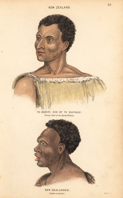 Portret van Te Kewiti, zoon van Te Kauwain, jonge leider van de Maori Ngate Watnas, Nieuw-Zeeland, en portret van een getatoeëerde Maori, Nieuw-Zeelander, getekend in Londen door Agasse. door Unbekannter Künstler