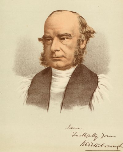 Portret van William Magee door Unbekannter Künstler