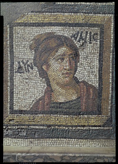 Portret van een vrouw, (detail) van een mozaïekvloer die de seizoenen en jachtscènes uitbeeldt, uit de Constantijnse Villa in Daphne, Romeins, c.325-330 n.Chr. door Unbekannt
