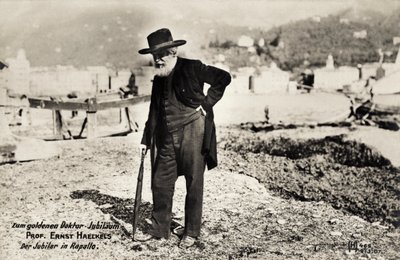Professor Ernst Haeckels in Rapallo, Italië (zwart-wit foto) door Unbekannt