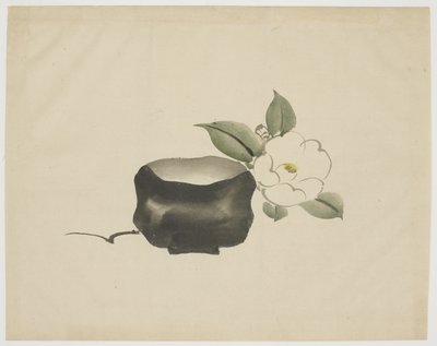 Raku theekom en witte camelia door Unbekannt