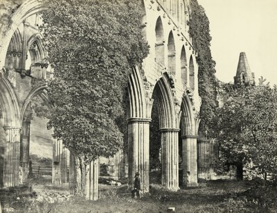 Rievaulx Abbey, North Yorkshire, VK door Unbekannter Künstler