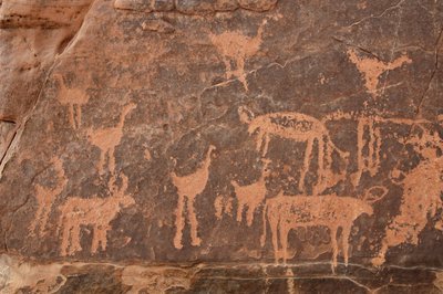 Rotstekeningen, Prehistorie: Detail van een gravure van een set struisvogels en vee in het Uweinat-massief, Egypte (Periode van 8000 tot 3000 jaar v.Chr.). Fotografie door Unbekannt