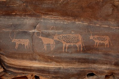 Rotstekeningen, Prehistorie: Gravure van vier vee in het Uweinat-massief, Soedan. Fotografie door Unbekannt