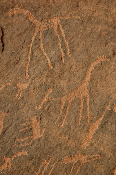 Rotstekeningen, Prehistorie: Gravure van giraffen, struisvogels, andere dieren en figuren in het Uweinat-massief, Soedan (Karkur-Talh of Karkur Talh). Periode van 8000 tot 3000 jaar v.Chr. Fotografie door Unbekannt