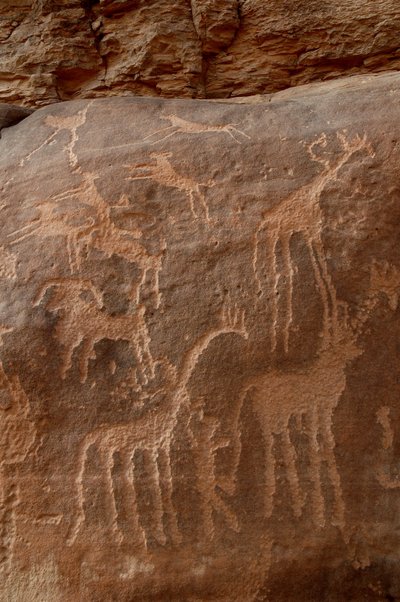 Rotstekeningen, Prehistorie: Gravure van giraffen, struisvogels, schapen, hond en figuur in het Uweinat-massief, Soedan (Karkur-Talh of Karkur Talh). Periode van 8000 tot 3000 jaar v.Chr. Fotografie door Unbekannt