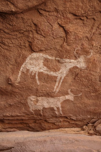Rotstekeningen, Prehistorie: Rotsschildering van twee koeien met grote hoorns (langhoorn) in een versierd onderkomen, in het Uweinat-massief, Soedan (Karkur-Talh of Karkur Talh). Periode van 8000 tot 3000 jaar v.Chr. Fotografie door Unbekannt